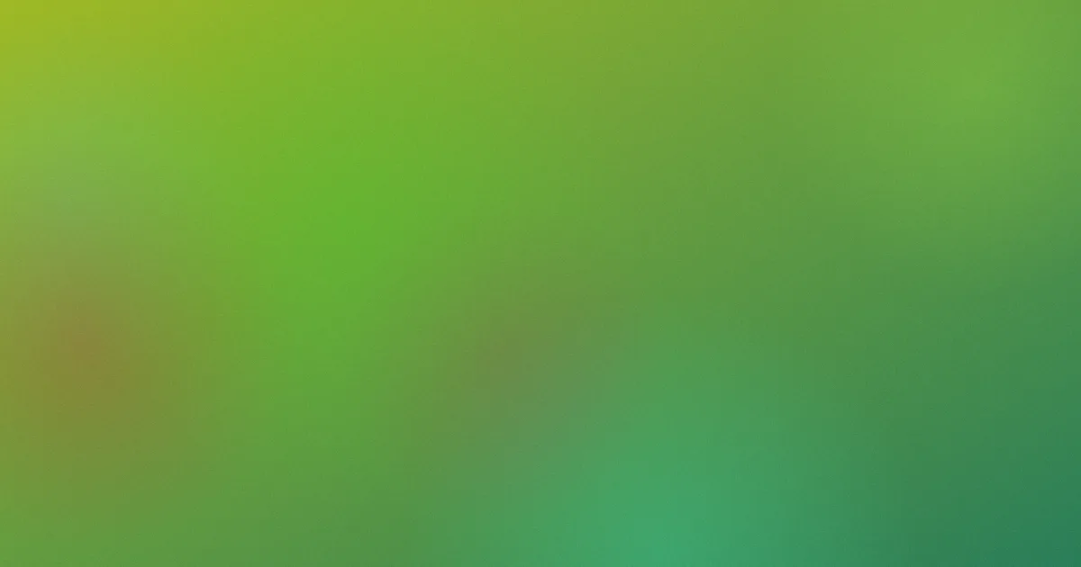 欧美成人片在线观看攻略五步走
